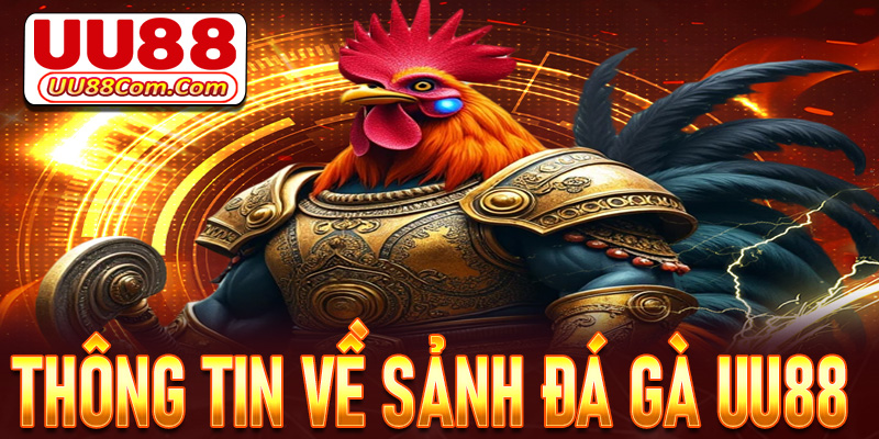 Thông tin chung về sàn đặt cược đá gà UU88