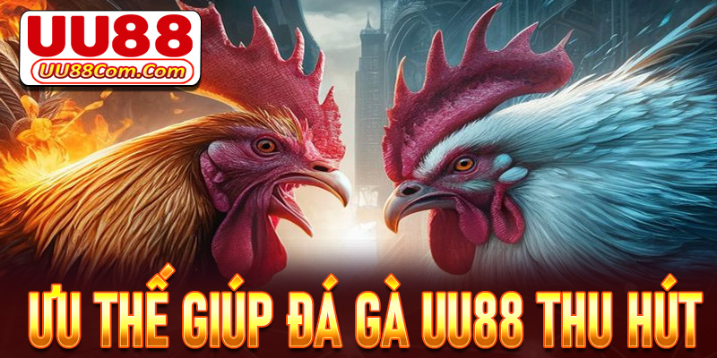 Một vài các ưu thế giúp cho sảnh đá gà UU88 thu hút người dùng 