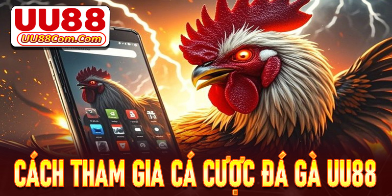 Chia sẻ các thao tác đơn giản để tham gia đặt cược đá gà U88